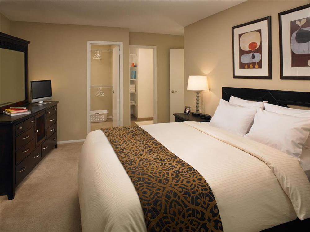 Mainsail Suites Hotel & Conference Center Tampa Bilik gambar
